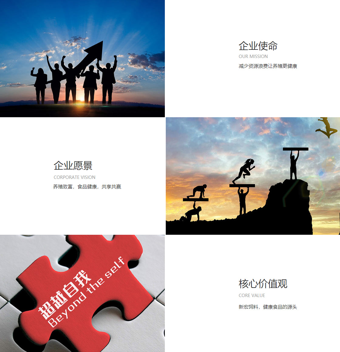 博鱼·体育app(图1)